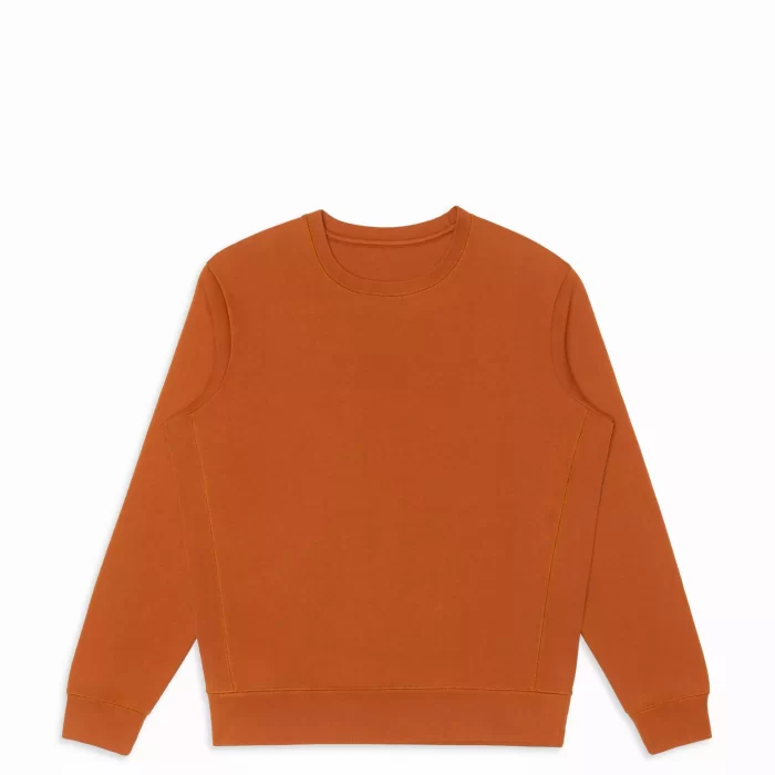 Organic Cotton Crewneck Sweatshirt - Image 2